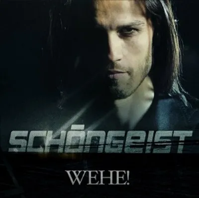 Produktbild von Schöngeist-Wehe!