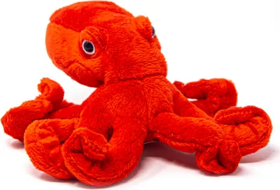 Image de Cornelissen - Doudou - Pieuvre - 20 cm