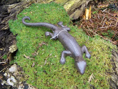 Immagine prodotto di Figura da giardino lucertola grande