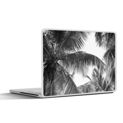 Produktbild von MuchoWow® Laptop Aufkleber Sticker Cover Palmwedel - Vintage - Natur 40x30 cm - Laptop Dekoration - Selbstklebend