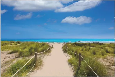 Produktbild von Wallario Wandbild Sandweg zum blauen Meer mit blauem Himmel, Größe: 61 x 91,5 cm, Poster mit rahmenlosen Bildhalter