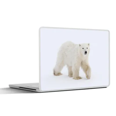Produktbild von MuchoWow® Laptop Aufkleber Sticker Cover Eisbär - Schnee - Weiß 31x22.5 cm - Laptop-Deko