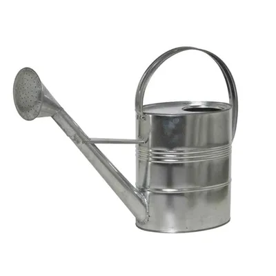 Produktbild von SIENA GARDEN Zinkgießkanne 10 l, silber