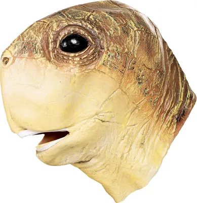 Produktbild von Schildkröte Maske aus Latex