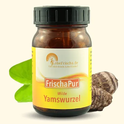 Produktbild von LebeFrischa Wilde Yamswurzel Extrakt 120 Kapseln hochdosiert Wild Yam