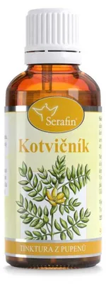 Produktbild von Anthraknose - Knospentinktur extra wirksam 50ml