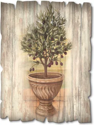Produktbild von ARTland Holzbild Vintage Olivenbaum mit Holzoptik Größe: 30x40 cm