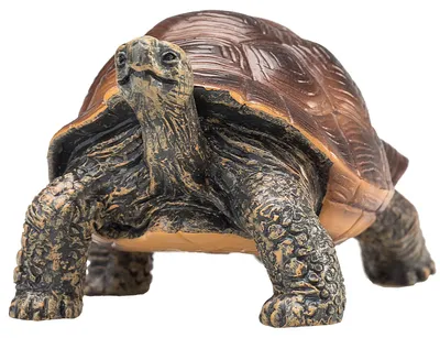 Produktbild von Mojo Fun Giant Tortoise, 3 Jahr(e), Wildlife, Braun, Polyvinylchlorid (PVC)