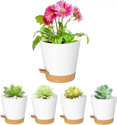 Produktbild von Famanu Pflanzenpotte Set - Selbstbewässernd - 5 Stück - Schwarz, Weiß, Grün
