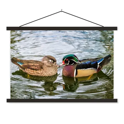 Produktbild von MuchoWow® Textilposter Ente - Vögel - Wasser - Federn - Tiere 60x40 cm mit schwarzem Rahmen - Hölzernes