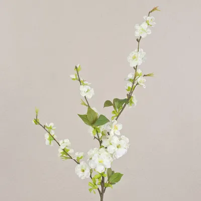 Produktbild von artplants.de Kunst Kirschblütenzweig Valeska mit Blüten, weiß, 80cm - Deko Blumen/Textilblumen