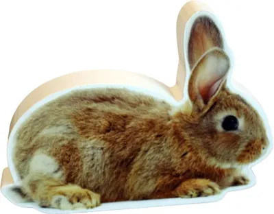 Produktbild von Dekofigur Hase Holz Fotodruck