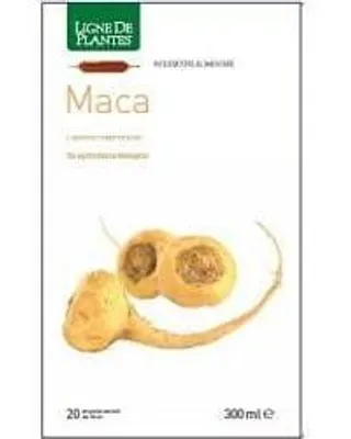 Produktbild von MACA , 20 Ampullen, trinkfertig, je 15 ml