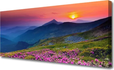 Produktbild von Tulup Leinwand-Bilder 125x50 Wandbild Canvas Kunstdruck Gebirge Wiese Blume Landschaft