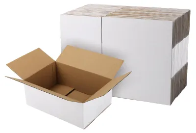 Obrázek produktu pro 40 kusů kartonových krabic o rozměrech 25,4 x 17,8 x 10,2 cm, bílé krabice vhodné pro různé produkty