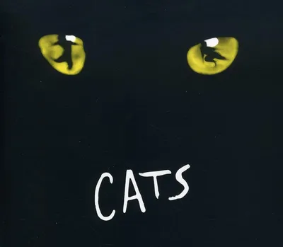 Image de Chats