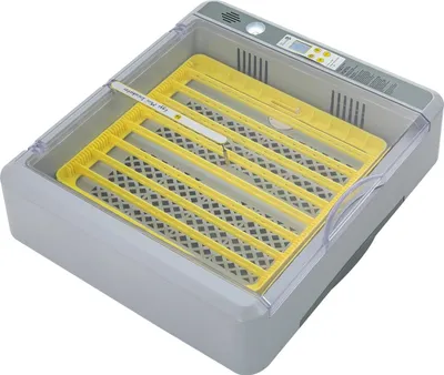 Immagine prodotto di Incubatrice - Incubatrice digitale per uova di pollame - Capacità per 36 uova - Giratura automatica - Regolazione della temperatura e dell'umidità - Grigio
