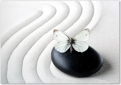 Produktbild von Tulup® Glas-Bild - 100 x 70 - Wandbild aus Glas - Wandkunst - Wandbild hinter gehärtetem Sicherheitsglas - Tiere - Zen Steine - Weiß