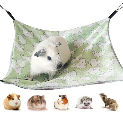 Immagine prodotto di Amaca per porcellini d'India, cuscino refrigerante, colore verde, 34 x 34 cm