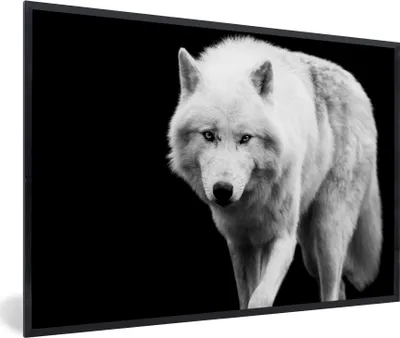 Produktbild von MuchoWow® Gerahmtes Poster Wolf - Tier - Schwarz - Weiß 90x60 cm - Poster mit Schwarzem Bilderrahmen Wandposter Rahmen Foto Bilder - Fotorahmen - Foto-Plakat