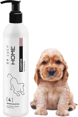 Image de Shampoing HOME 4 pour chiots