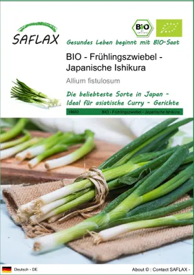 Produktbild von SAFLAX - BIO - Frühlingszwiebel - Japanische Ishikura - 150 Samen - Allium fistulosum