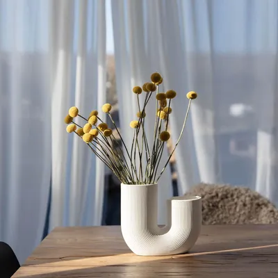 Image de Craspedia - Tiges en forme de tambour - Fleurs séchées et conservées (30-40cm)