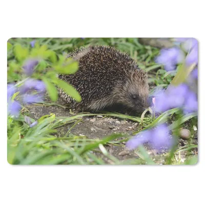 Produktbild von MuchoWow® Schreibtischunterlage Igel hinter Blumen 60x40 cm - XXL Mauspad - Großes Mauspad