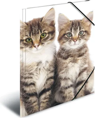 Produktbild von HERMA Eckspannermappe "Katzen" aus PP DIN A3