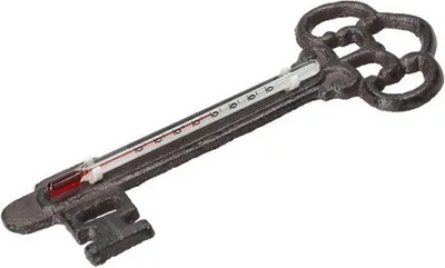 Obrázek produktu pro Ferrestock Fsktr001 Dekorativní teploměr Black Black One Size