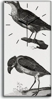Produktbild von Dekor Leinwand Uhr Wandbilder 30x60 Zeichnen von Tieren Vögel Zweig Kunst - schwarze Hände