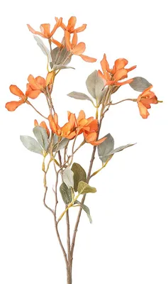 Immagine prodotto di Clayre & Eef, fiore artificiale, colore arancione, materiale: plastica