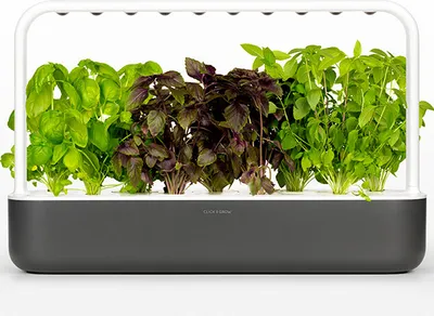 A smart garden with several plants growing in it.