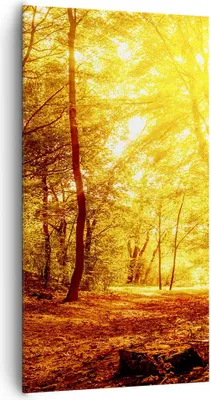 Produktbild von Bild auf Leinwand - Leinwandbild - Wald Baum Natur - 65x120cm - Wand Bild - Wanddeko - Wandbilder - Leinwanddruck - Bilder - Kunstdruck - Wanddekoration - Leinwand bilder - Wandkunst - PA65x120-3722