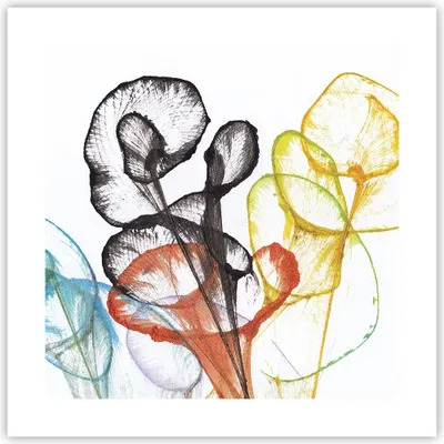 Produktbild von Poster - Poster ohne Rahmen - Blumen Abstraktion Surrealismus - 40x40 cm - Wand Bild - Wanddeko - Wandbilder - Kunstposter - Wandposter - Bilder - Kunstdruck - Wanddekoration - P2XAC40x40-4444