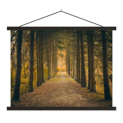Produktbild von MuchoWow® Textilposter Pfad - Bäume - Wald 40x30 cm mit schwarzem Rahmen - Dekorationen