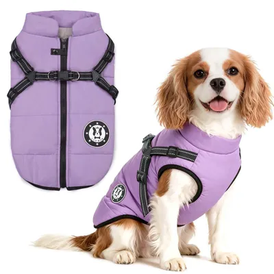 Imagen del producto de Chaqueta reflectante para perros con arnés, ideal para perros pequeños y medianos