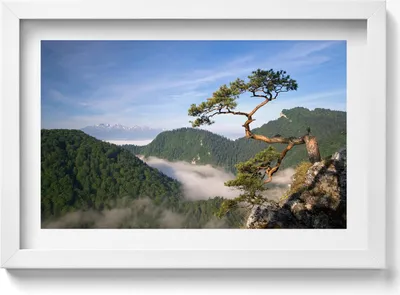 Produktbild von Sokolica-Gipfel im Pieniny-Gebirge– Wandbild mit Rahmen – Gerahmtes Bild  – Wanddekoration – 30x20 cm –  Weiß Rahmen