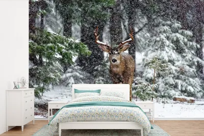 Produktbild von MuchoWow® Fototapete für Wohnzimmer oder Schlafzimmer Wandtapete Vinyl Motivtapete Rotwild - Schnee - Geweih - Wald - 600x400 cm - Vinyltapeten