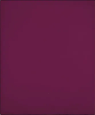 Produktbild von Design Möbel Spannbettlaken 2er Set Jersey Bordeauxrot 90x200 cm Baumwolle - 2024 Neu