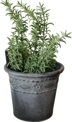 Produktbild von Nostalgischer Zink-Blumentopf mit Ornamenten und Rost-Patina, H 11,5 cm, Ø 13 cm