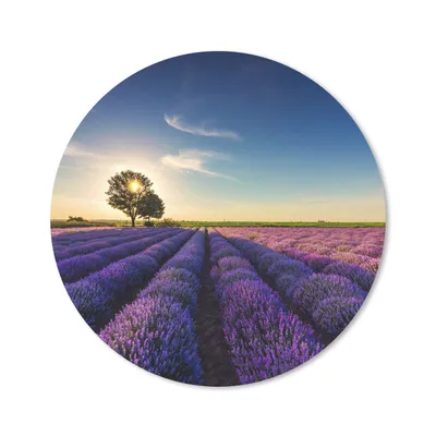 Produktbild von MuchoWow® Mauspad Mousepad Lavendel - Sonne - Baum - Blumen - Lila 40x40 cm - Mousepads - Maus Mat - Pad - Mausunterlage - Schreibtisch Accessoires