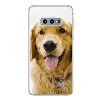 Produktbild von MuchoWow® Handyhülle Schutzhülle Hülle für Samsung Galaxy S10e Porträt eines superschönen Golden Retrievers Silikon Softcase Handy Hülle - Handy