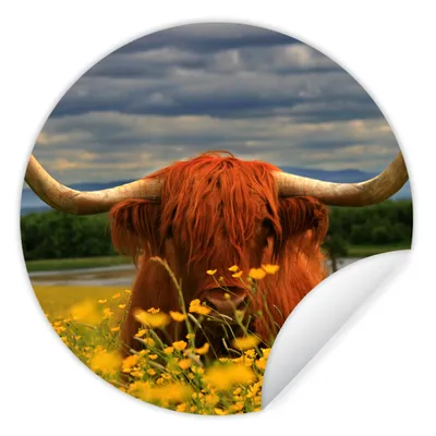 Produktbild von MuchoWow® Runde Wandtattoo - Wandsticker Tapete Aufkleber Schottischer Highlander - Tiere - Blumen Ø 50 cm Selbstklebend und Repositionierbar - Wandaufkleber - Kreis - Wand Kreis - Wand Bild - Foto Tapete - Selbstklebende - Wohnzimmerdekoration - Wand Dekoration - Kinderzimmer