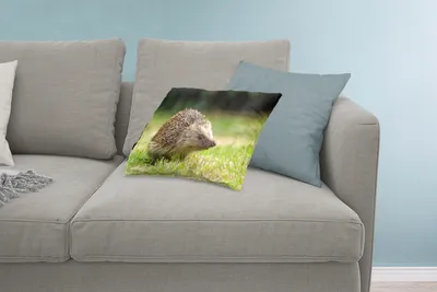 Produktbild von MuchoWow® Zierkissen Sofakissen Wohnzimmer Dekokissen 60x40 cm Igel im Garten - Kopfkissen - Polster mit Foto