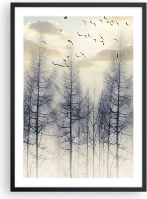Produktbild von Gerahmtes Poster - Schwarzer Rahmen - Bäume Vögel Himmel - 50x70 cm - Wand Bild - Wanddeko - Wandbilder - Kunstposter - Wandposter - Bilderrahmen - Bilder - Kunstdruck - P2BPA50x70-4546