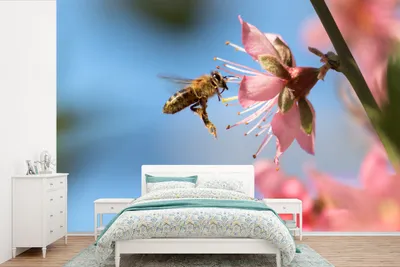 Produktbild von MuchoWow® Fototapete für Wohnzimmer oder Schlafzimmer Wandtapete Vinyl Motivtapete Biene - Blume - Rosa - 420x280 cm - Zimmer für Kinder