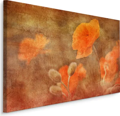Immagine prodotto di Favolosa tela PICTURES 120x80 cm XXL stampa d'arte natura fiori papaveri