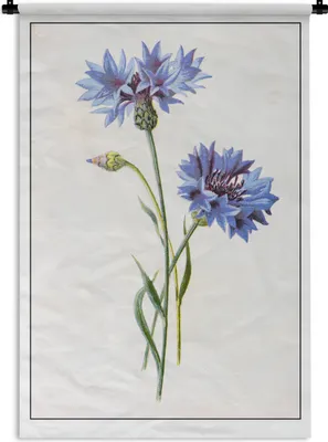 Produktbild von MuchoWow® Wandteppich Wandbehang Eine Illustration von zwei Kornblumen 90x135 cm Tapisserie Dekoration Wandtuch - Baumwolle - Wandskulptur