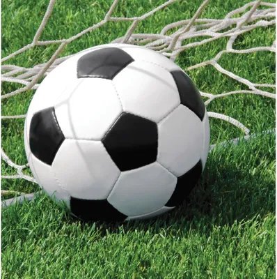 Produktbild von Servietten Fußballfan Geburtstag 33x33 cm 2-lagig 18 Stück